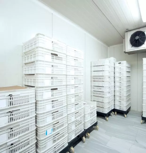 Walk-in cool room interior with racking
